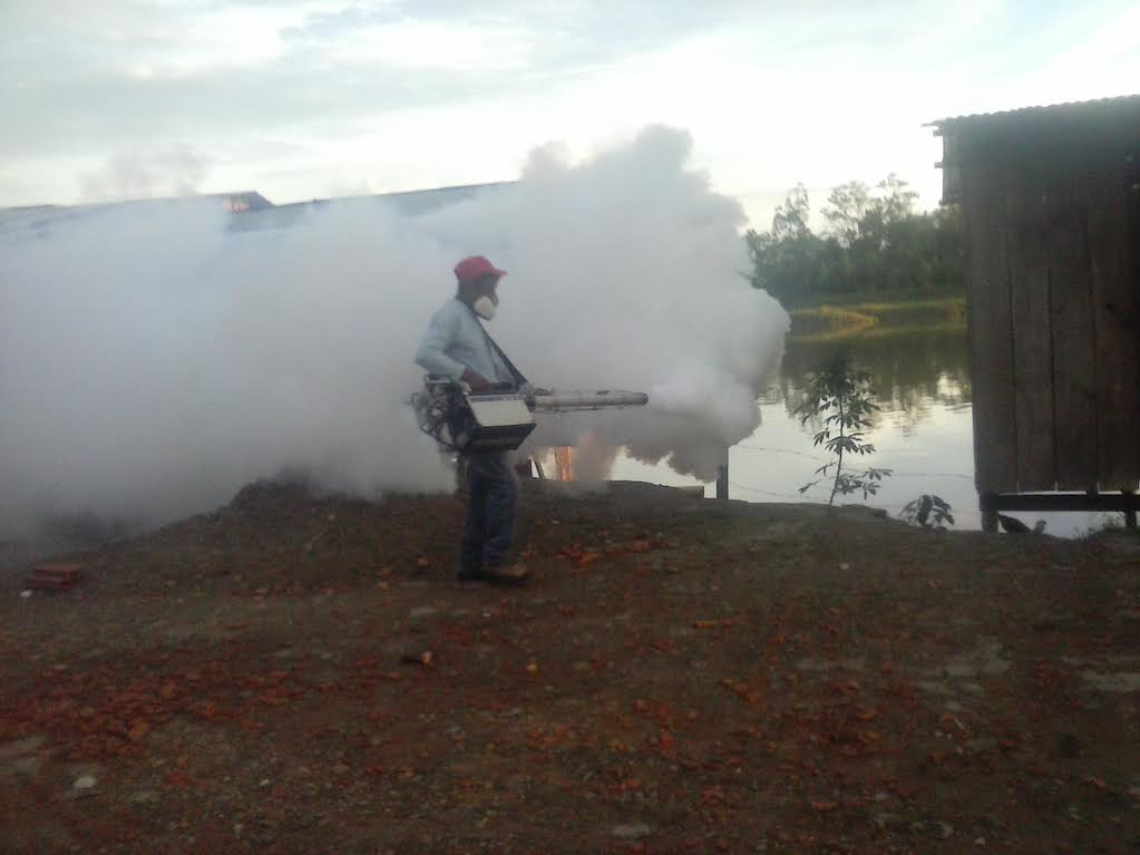 FUMIGACION.FRONTERA